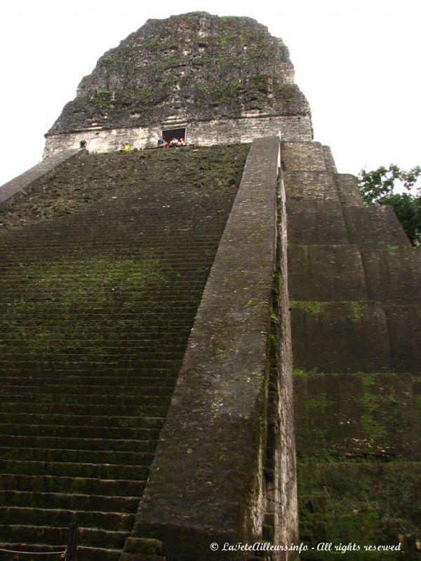 Le temple V et ses 57 m de haut !