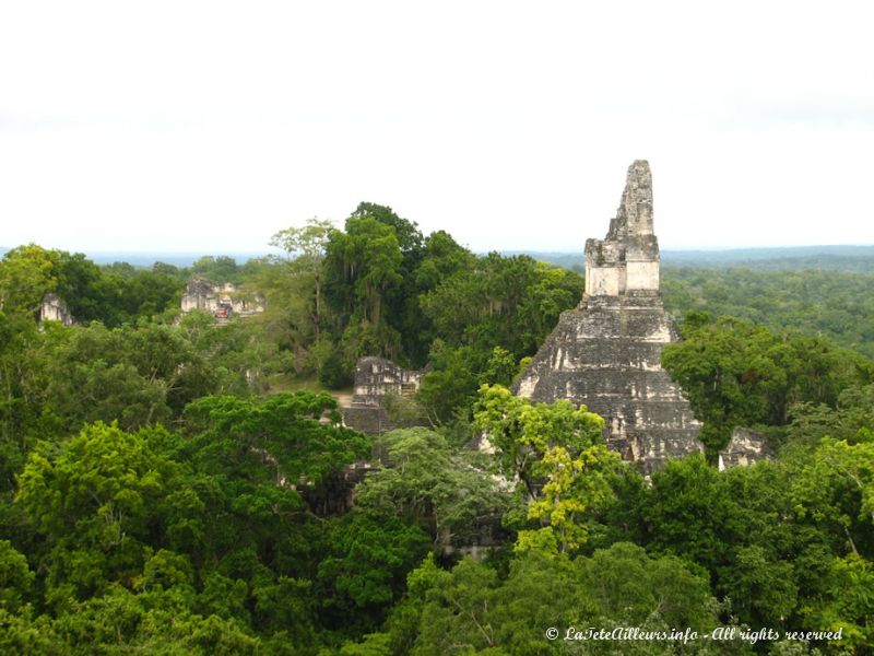 Le temple V nous permet l'une des plus belles vues de Tikal