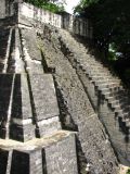 De nombreux temples de Tikal sont construits en escalier