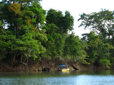 De nombreux p&ecirc;cheurs vivent de la rivi&egrave;re, de ses poissons et de ses tortues (si si !)