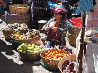 Les fruits ne sont pas tr&egrave;s engageants...
