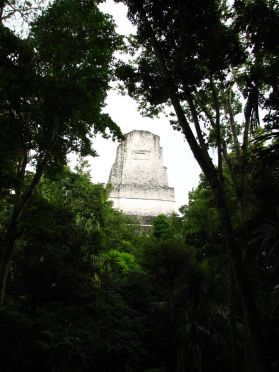Le temple IV &eacute;merge de la jungle