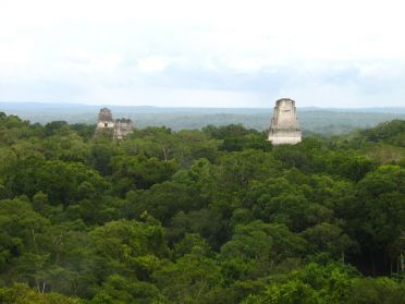 Depuis le sommet du temple IV, seuls les sommets des pyramides &eacute;mergent de la jungle