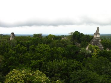 Tikal a vraiment tenu ses promesses !