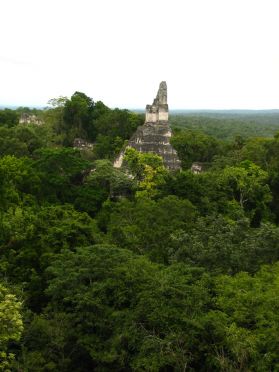 Du haut du temple, on a une superbe vue sur le temple I et la Plaza Mayor
