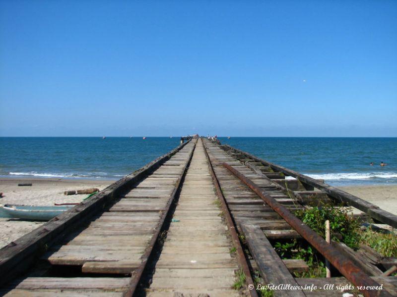 Des rails menant vers la mer, vestiges de l'ère bananière passée