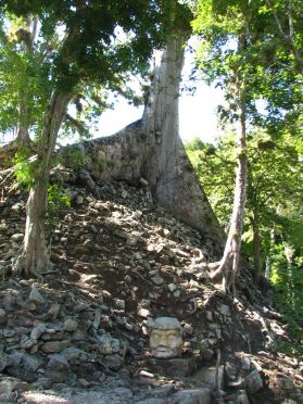 De nombreux arbres poussant &agrave; m&ecirc;me la pierre ajoutent encore &agrave; la beaut&eacute; des ruines
