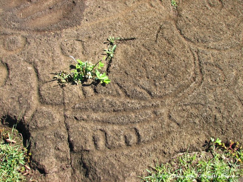 Les pétroglyphes de Papa Vaka