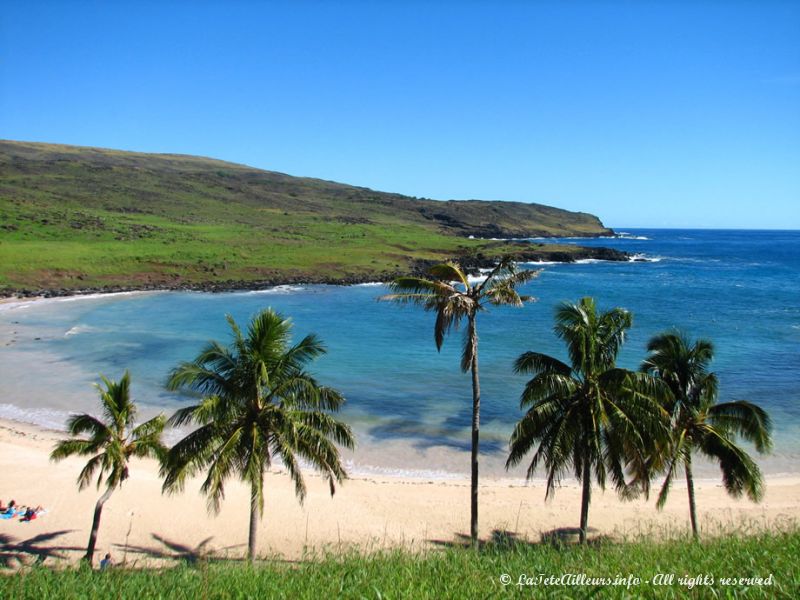 On trouve même des cocotiers sur l'île de Pâques !