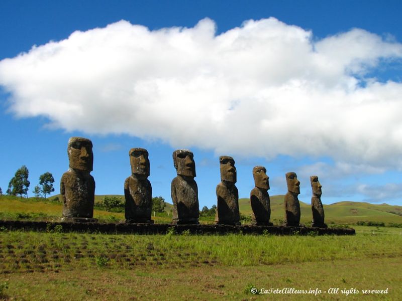 Les sept moai de l'ahu Akivi
