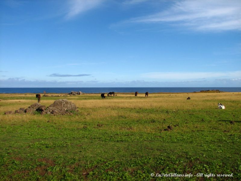 Des paysages apaisants et sauvages