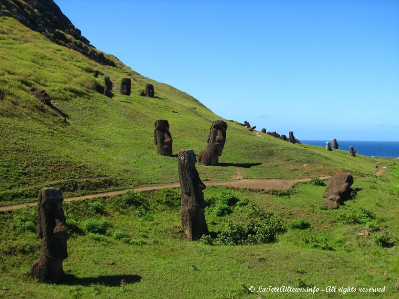Le volcan Rano Raraku servit de carrière à presque tous les moai 