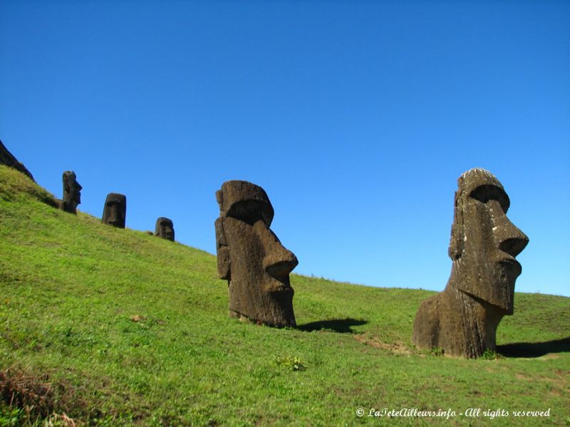 Les Pascuans commençaient par sculpter la tête...