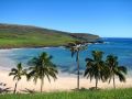 On trouve même des cocotiers sur l'île de Pâques !