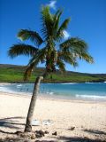 La plage d'Anakena