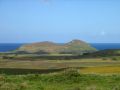 L'île de Pâques, ce n'est pas seulement des moai...