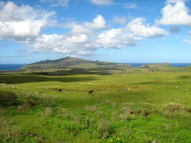 Paysages du centre de l'île de Pâques