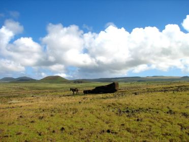 Sur l'île de Pâques, pas d'arbres mais des moai et des chevaux !