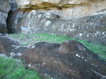 Le plus grand moai mesure plus de 21m et p&egrave;se plus de 160 tonnes !