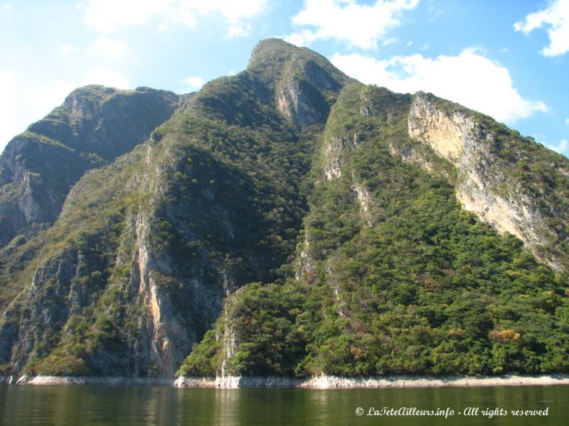 La végétation est luxuriante dans le Chiapas