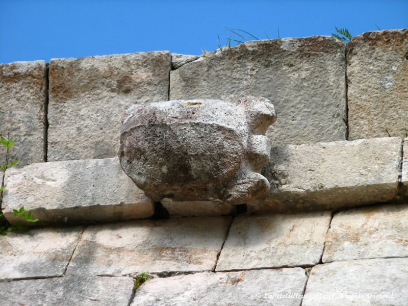 Une des tortues ornant le batiment