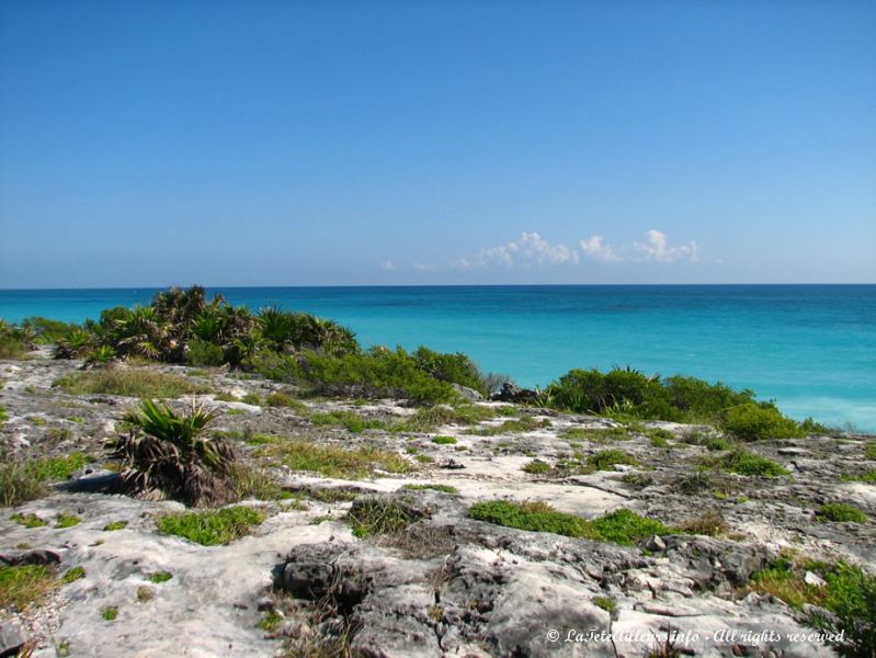 La mer des Caraïbes est au pied du site...