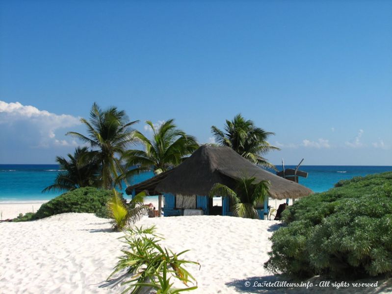 Un p´tit cocktail en bord de mer ?