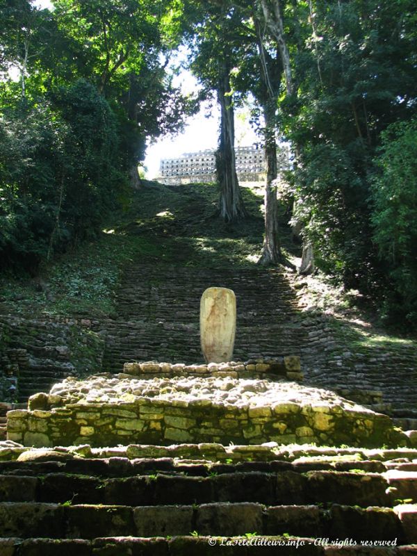 Le sanctuaire de Yaxchilan, au sommet d'un long escalier