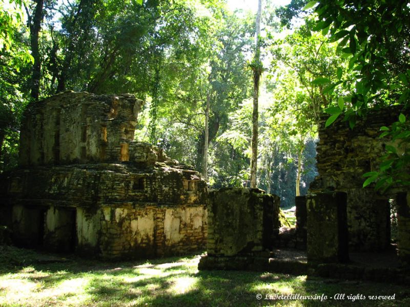 Cernées par la végétation, une ambiance indescriptible se dégage de ces ruines