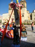 Des processions en l'honneur de la Vierge de la Guadalupe