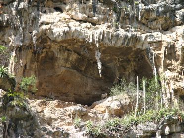 Les parois abritent de nombreuses grottes 