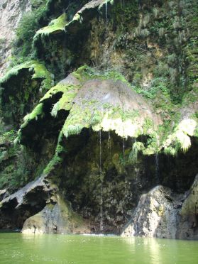 Le tout est recouvert de mousse, une des merveilles de la r&eacute;gion !