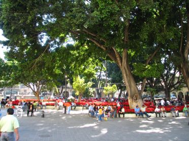 Le zocalo de Oaxaca, peut-etre notre place preferee au Mexique !