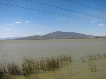 On ne pêche plus rien ici et la pollution est bien présente...