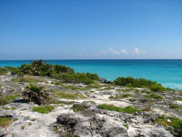 La mer des Caraïbes est au pied du site...