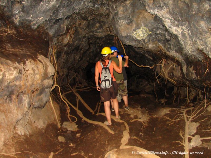 C'est parti pour l'exploration de cet ancien tunnel de lave