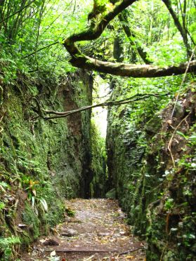 Le pass&eacute; volcanique du Mombacho a laiss&eacute; de curieux tunnels de lave