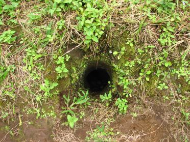 Toujours actif en profondeur, le Mombacho laisse &eacute;chapper de nombreuses fumeroles