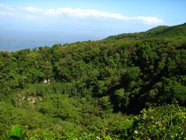 Le crat&egrave;re du volcan Mombacho est aujourd'hui d'une &eacute;paisse for&ecirc;t pluvieuse