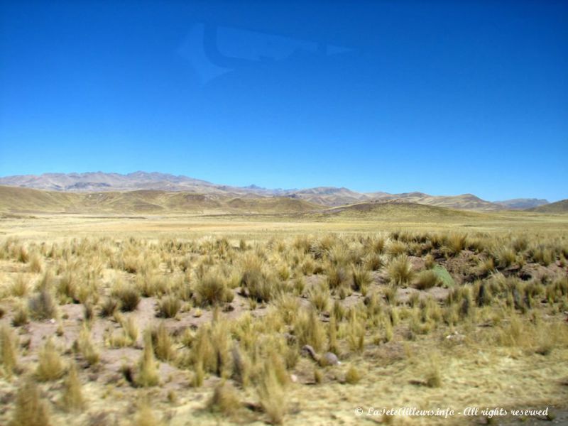 Paysages de l'Altiplano péruvien