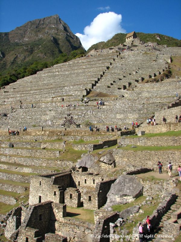 Tout au fond à gauche, le mont Machu Picchu qui a donné son nom au site inca