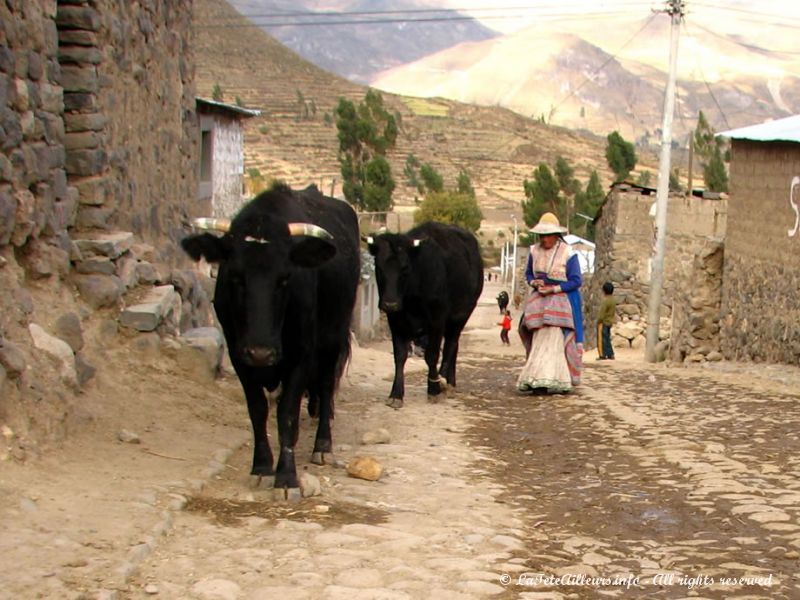 Paysanne péruvienne de la vallée de Colca