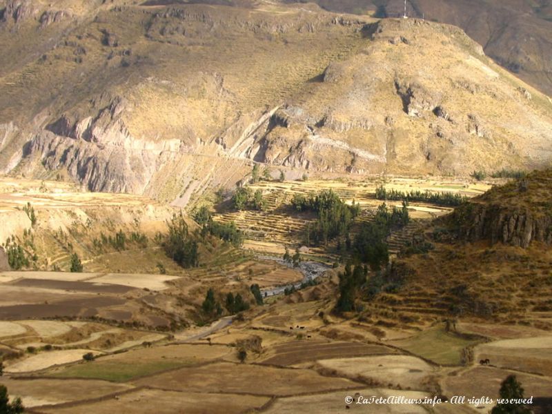 Terrasses en culture du Pérou