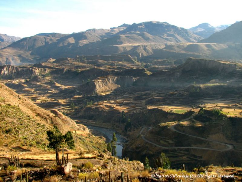 Terrasses près du canyon de Colca