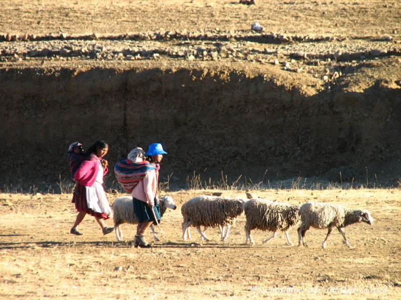 Scène rurale sur l'île d'Amantani, Pérou
