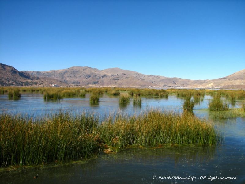 Le lac Titicaca, lac le plus haut du monde !