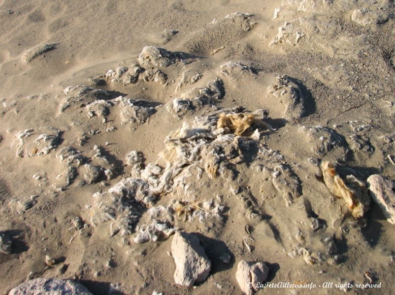 Même les étoffes en coton des momies affleurent sous le sable