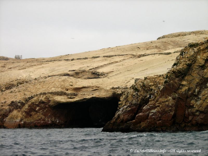 Et tous ces oiseaux ont recouvert les îles de leurs fientes