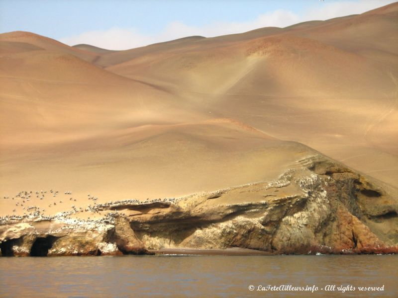 Quand la nature se fait artiste, on n'a plus que nos yeux pour l'admirer