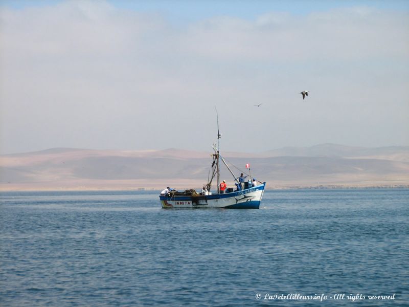 Les pêcheurs rentrent au port